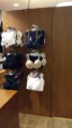/album/fotogalerie-uvod/img-20160204-wa0010-1-jpg/